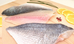 La Criée d'à Côté - Filets de Daurade Royale Label Rouge | 240g à 270g (2 pièces)