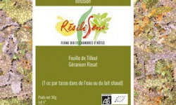 Résilisens - Matcha