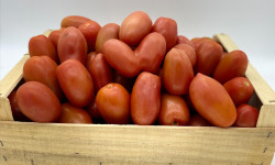 Le Panier du Producteur - Tomate "Roma" - 1 Kg