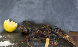 Fine de Cancale - Homard Bleu Vivant- 450/600g (1 pièce)