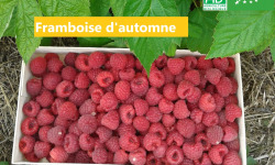 LES JARDINS DE KARINE - Framboise d'automne surgelée - 1 kg