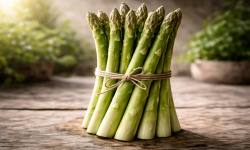 Nature et Saveurs - Ferme Aquaponique et Permacole Astérienne - Asperge verte – intensité végétale et fraîcheur croquante