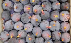 L’Oliveraie du Coudon - FIGUES PLATEAU 3kg