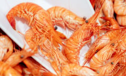 Poissonnerie La Piriacaise - crevettes roses de pays cuites