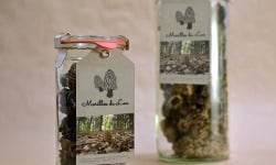 Morilles du Lac - Morilles Du Lac - 100g De Morilles Séchées Du Terroir