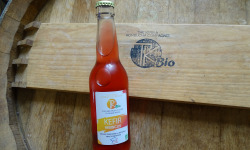 TK Bio - The Kefir et Kombucha Compagnie - Kéfir Hibiscus Bio - 12x33cl