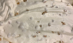 Glaces de Meuse - Crème Glacée "Rhum & Raisins" - 360g