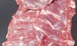 Ferme Angus - hampe