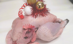 Ferme de la Paumerais - POULARDE ENTIERE DECOUPEE - 3 KG