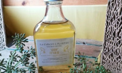La Cabane à plantes - Sirop de Fenouil 20cl
