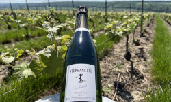 Champagne Stéphane Fir - Champagne Brut - 3 X 75 Cl