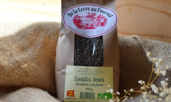 Dégustonfoin - Lentilles Vertes BIO - 500g