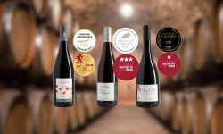 Domaine de la Chopinière du Roy - Coffret Or et Argent - 3 bouteilles de vins rouges Saint Nicolas de Bourgueil médaillés - 3 x 75 cl