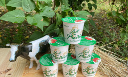 Lait Prairies du Boulonnais - Yaourt fermier brassé à la fraise x6