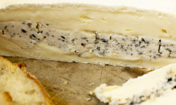 Aubertie Truffe - [Précommande] Brie de Meaux à la truffe Noire du Périgord