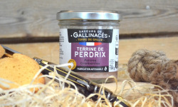 Terre de Gallie - Terrine de perdrix poivres cranberries