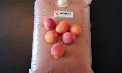 Gobert, l'abricot de 4 générations - Purée 100% abricot 10kg