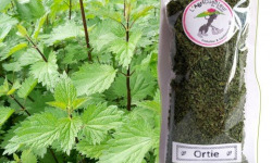 L'Agricueilleur du Suzon - Ortie Bio