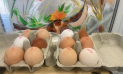 La Ferme Durbois - Oeufs fermiers plein air x12