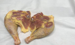 Des Poules et des Vignes à Bourgueil - 2 Cuisses De Coq Geline de Touraine