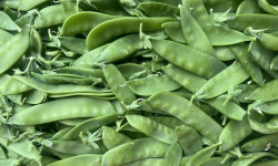 Domaine Reverchon - Pois gourmand 500gr