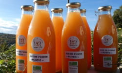 Terres EnVie - Jus De Pommes Bio « rustic » Variétés Anciennes : 6 Bouteilles Dont 1 Gratuite