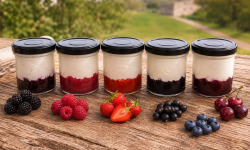 Gaec de l'Elanion - lot de 10 fromages blancs fruits rouge