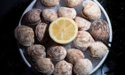 Luximer - Praires - Lot de 3Kg