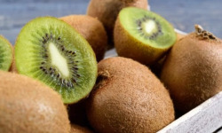 Verger Nantes Prim - Kiwis verts (4 kg)