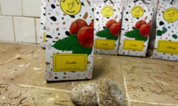 Biscuiterie Saravelli - Amaretti noisette