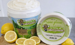 La Ferme de Labergement - Crème glacée 500 ml Menthe/chocolat - lot de 10 pots