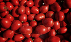 La Ferme d'Artaud - Tomates Italiennes 5kg