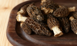 Cham B - Morilles séchées – issues de cultures sous noyers en Charente - 30 g