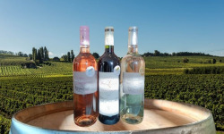 Château Haut-Lamouthe - Lot de 3 Bouteilles: AOC Bergerac Rosé, Rouge, et Blanc