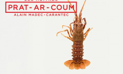 Huîtres Prat-Ar-Coum Alain Madec - Langouste  rouge royale 1kg 1,3kg