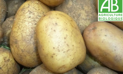 Mon Petit Producteur - Pomme De Terre Nicola - Variété À Chair Ferme