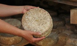 Domaine du Catié - Tomme de la Montagne Noire au lait cru entier Bio