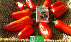 LES JARDINS DE KARINE - Poivrons rouges - 500g