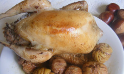 Cailles de Chanteloup - [CONGELE] Faisan(e) Prêt À Cuire De 1451 À 1500 Gr