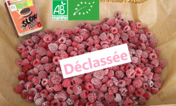 LES JARDINS DE KARINE - Framboises surgelées déclassées à cuire - 1kg