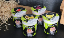 Ferme du Sire de Créquy - Mélange Yaourt Brassé Fruit - Lot de 4