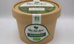 Néoherba - Tisane Romarin