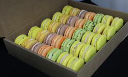 Les Macarondises - 35 Macarons Exotique