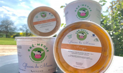 Glaces de Meuse - Crèmes Glacées et Sorbets- PACK "Ultra Fruité" 360g x6