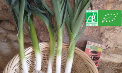 LES JARDINS DE KARINE - Poireaux nouveaux fins - 1 botte de 5