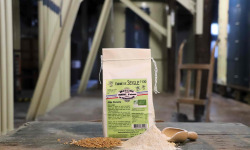 Moulins de Versailles - Farine De Seigle Bio - 500g
