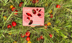 Agriloops - Tomate Cerise Allongée 2 x 250g