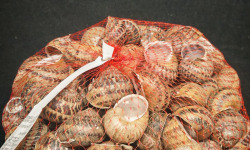 Boucherie Puig - Filet de 100 escargots