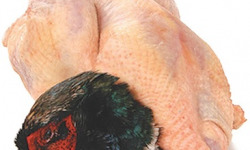 Ferme de la Paumerais - FAISAN FRANCAIS - 1,3 Kg