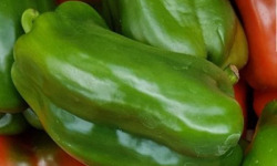 Mon Petit Producteur - Mélange Poivrons Bio vert et rouge [poids Moyen 450g]